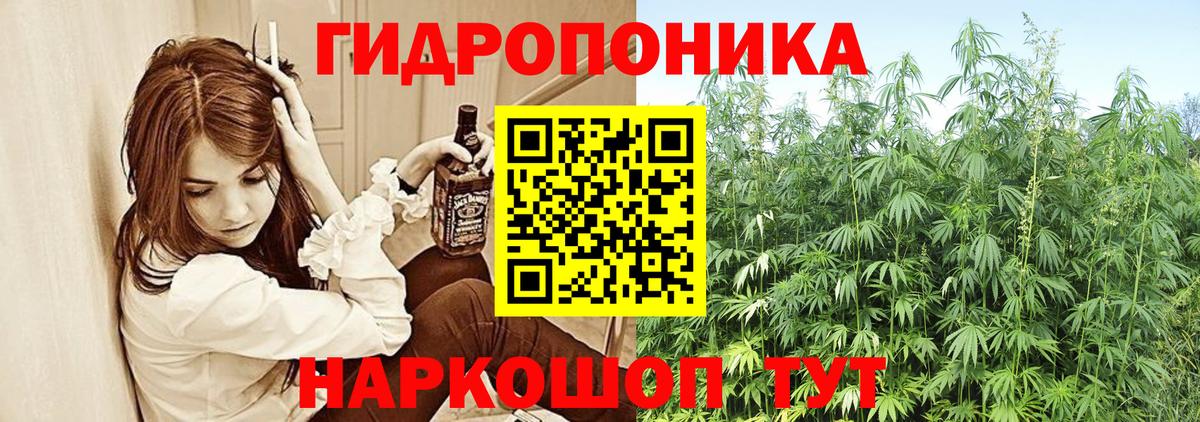Бошки Шишки MAZAR  Вход с VPN  Бошки марихуана марихуана  Марихуана Amnesia  Алейск 